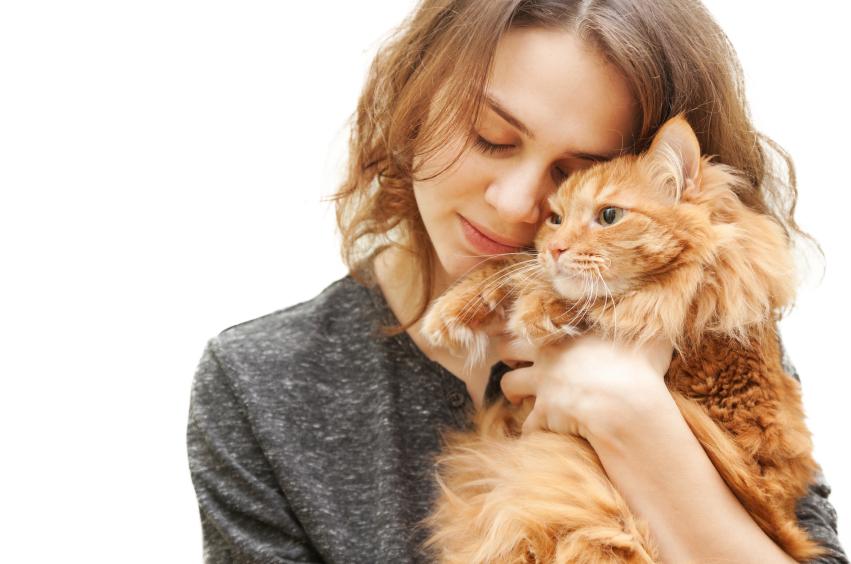 Une femme a demandé le divorce de son mari pour avoir donné son chat