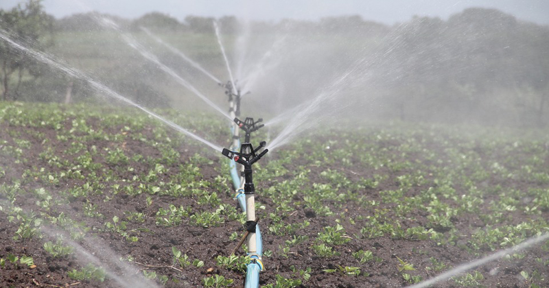 Les pratiques d'efficacité énergétique réduisent les coûts d'irrigation des cultures - Jornal da USP