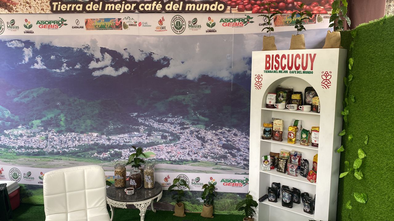 L'appellation d'origine renforce les caféiculteurs