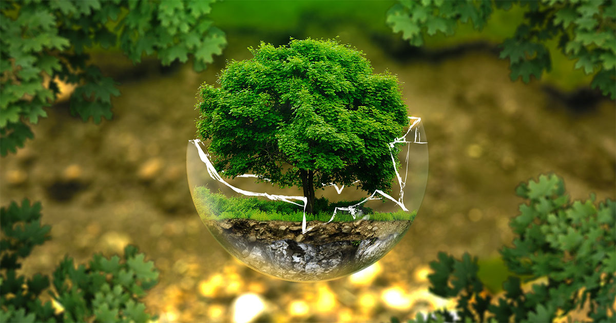 Les politiques environnementales ont besoin de la systématisation des ressources pour être efficaces - Jornal da USP