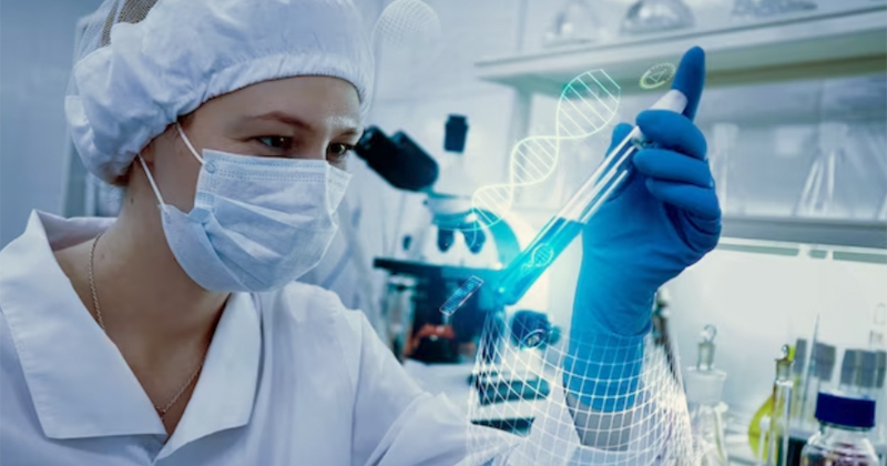 USP Technologies Showroom récompense les innovations qui peuvent atteindre le marché – Jornal da USP