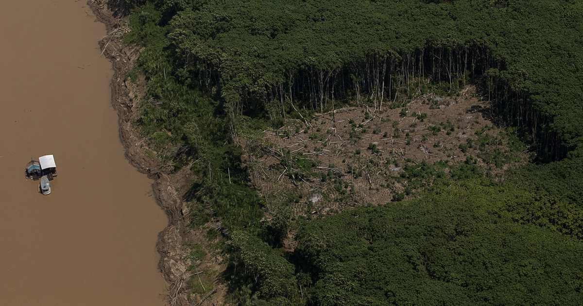 Amazon Summit a été la première étape importante vers l'avancement des discussions environnementales - Jornal da USP