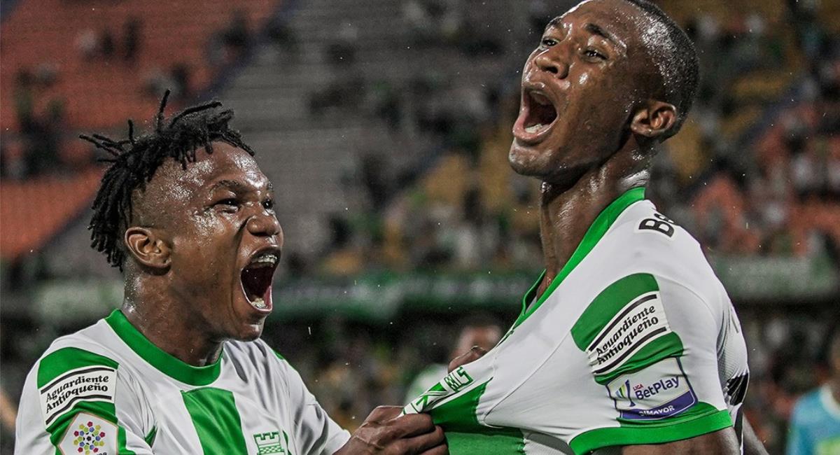 Suivez en direct et GRATUITEMENT, le match entre pourpier et albicelestes