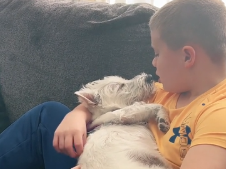 Viral : Un garçon berce et chante son chien pour l'endormir