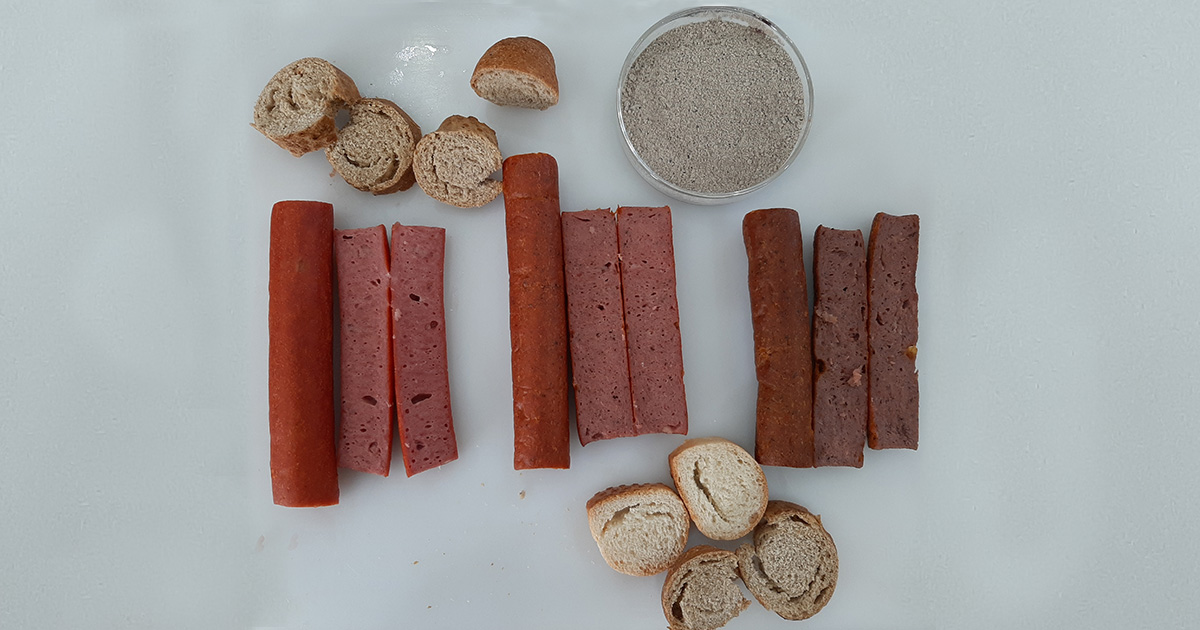 les scientifiques améliorent la production d'aliments à base de larves de mouches – Jornal da USP