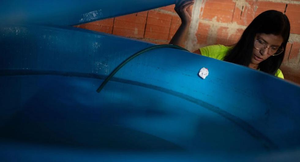 Sans eau, sans gaz ni électricité : chacun pour soi au Venezuela