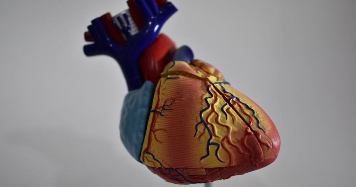 Une surveillance médicale régulière est un conseil pour maintenir une bonne santé cardiaque – Jornal da USP