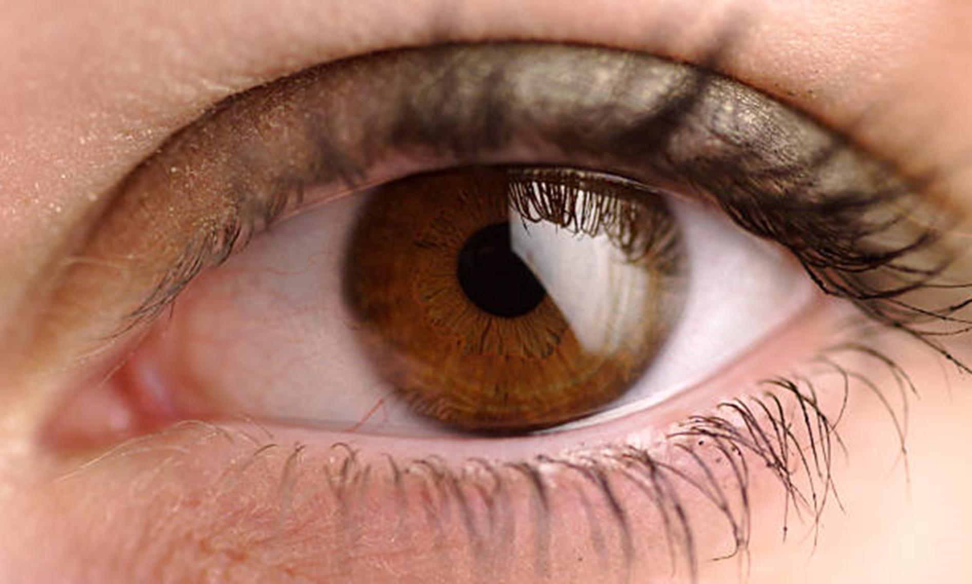 Ils effectuent une transplantation oculaire complète