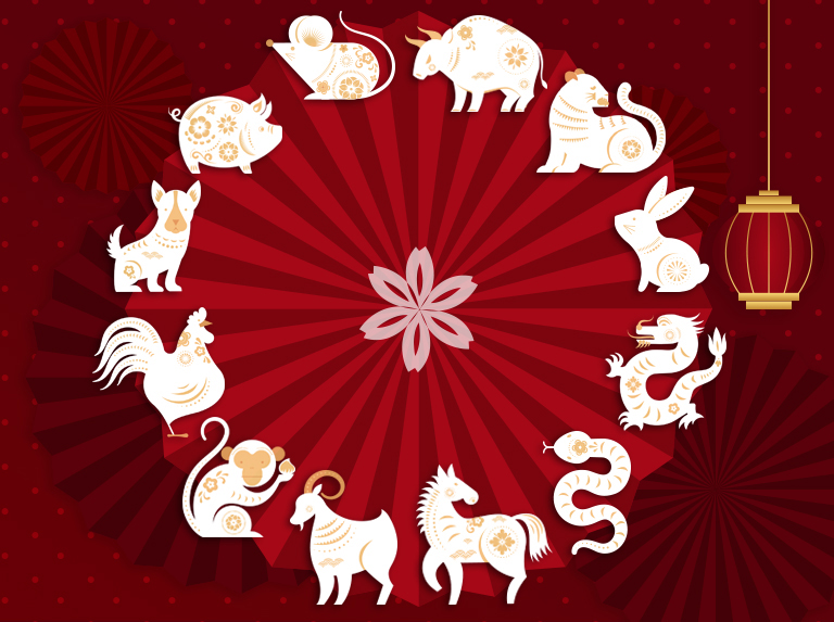Roue du zodiaque chinois.  Novembre mois du Cochon.