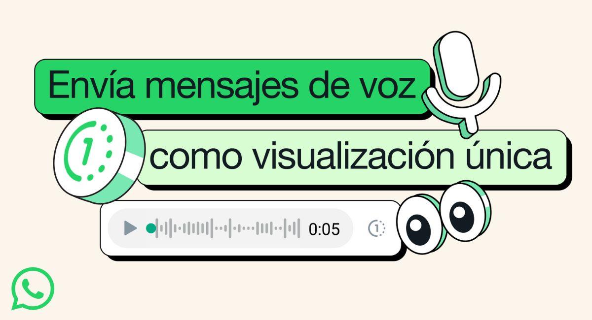 Audios pour une seule lecture et appels vidéo avec musique : nouveautés de WhatsApp