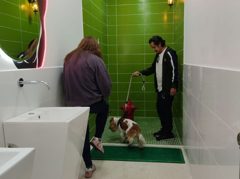 Se aprecia una de las fotos de uno de los peludos de fundaciones aliadas