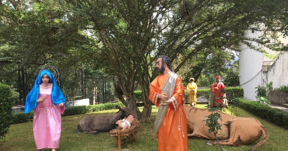 La crèche et sa diversité s'affichent dans les régions