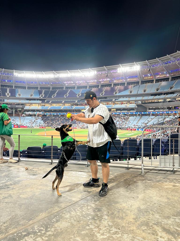 Les mascottes se joignent au festival de baseball vénézuélien