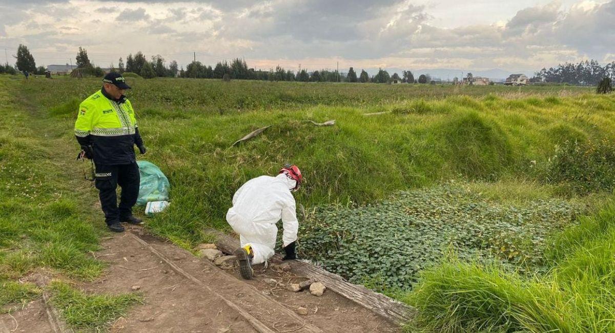 Trois victimes retrouvées dans une scène macabre à Mosquera