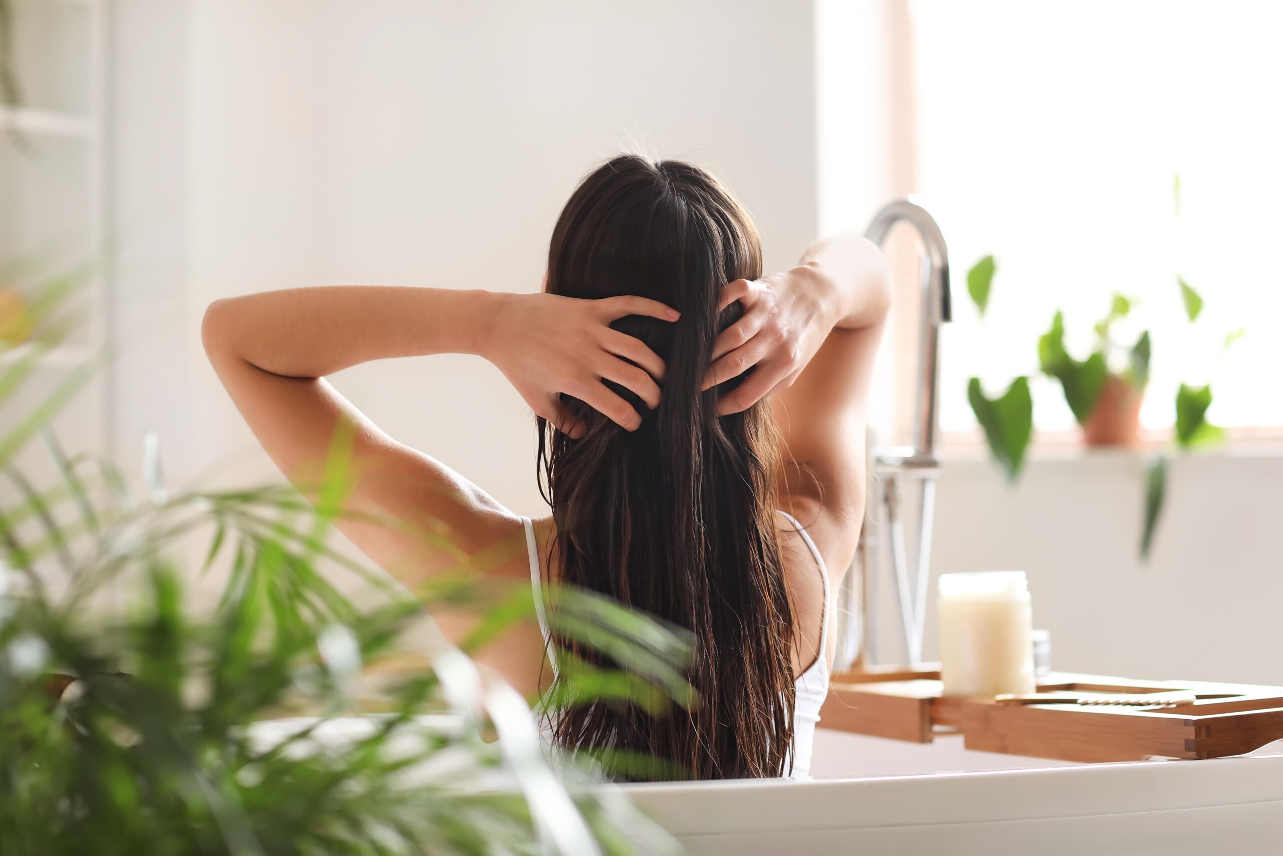 Añade esta planta a tu champú para promover el crecimiento del cabello. Foto: Shutterstock