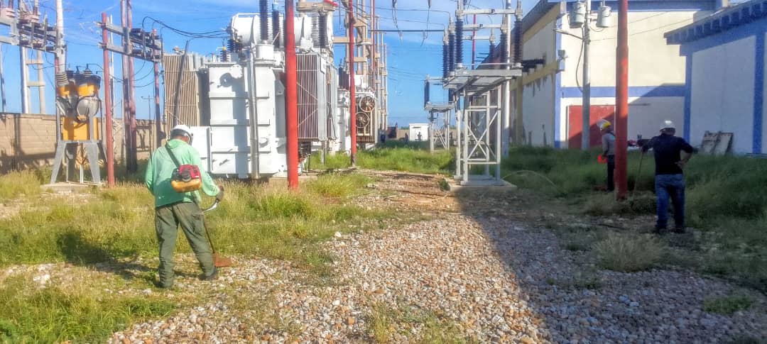En 2023 Corpoelec a désherbé plus de 4 mille km de circuits de distribution