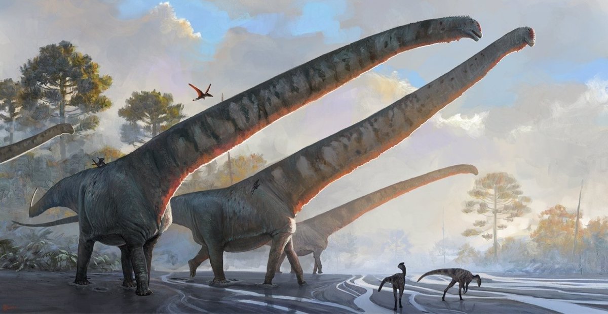 Fossile de l'un des derniers dinosaures à long cou découvert