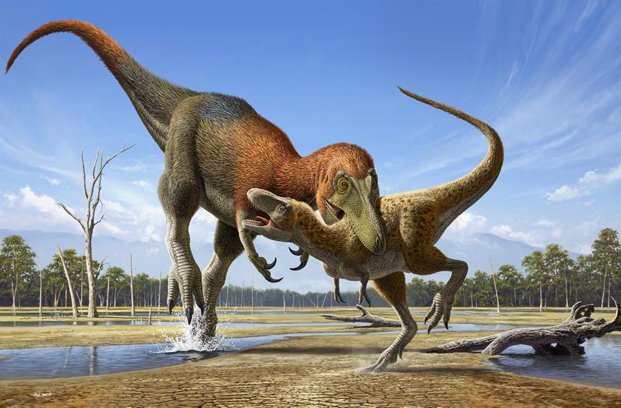 Les fossiles du jeune T. rex sont en réalité une autre espèce de dinosaure