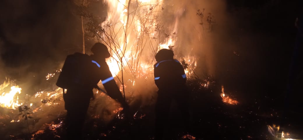 Mérida a installé un personnel de lutte contre les incendies
