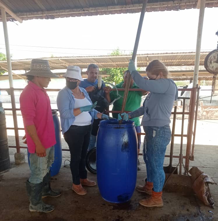 À Zulia, ils développent des biofertilisants pour améliorer la production maraîchère