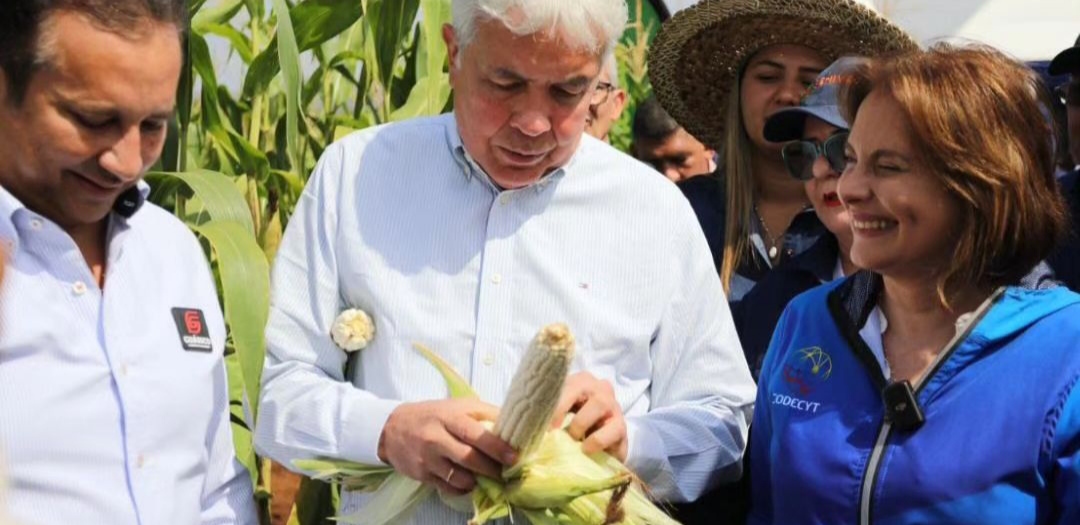 Début du plan de production agroécologique de maïs à Guárico au Venezuela