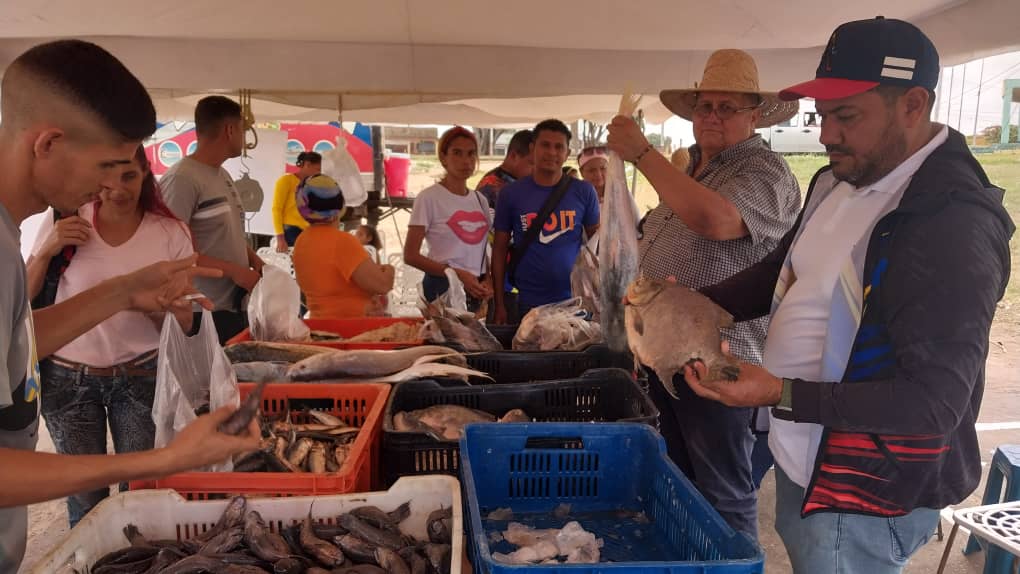 Ils prévoient de distribuer plus de 100 mille tonnes de poisson à Monagas