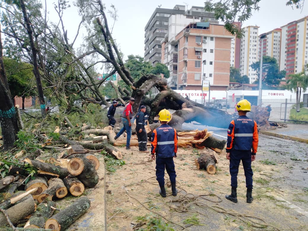 Ils signalent la chute d'arbres et de lignes électriques à cause de la pluie à Lara