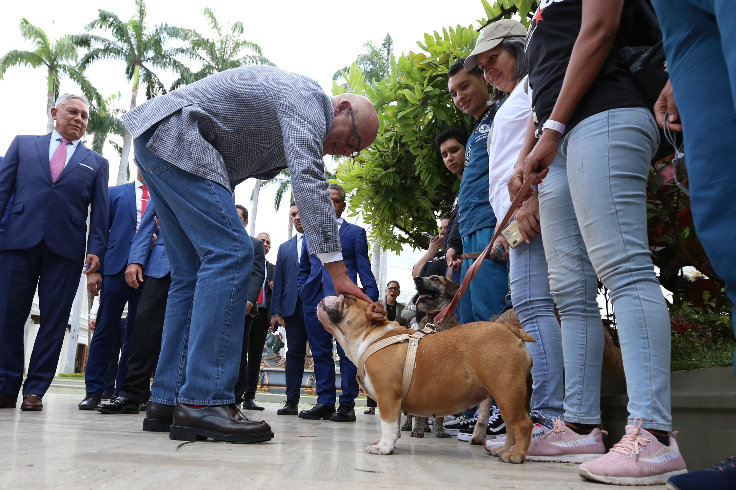 La loi pour le traitement digne des animaux de compagnie approuvée en première discussion