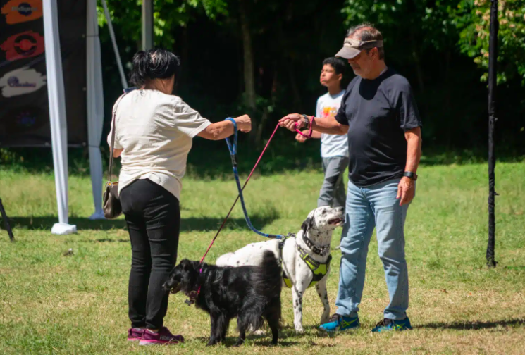 Sachez où vous pouvez promener votre animal de compagnie à Caracas