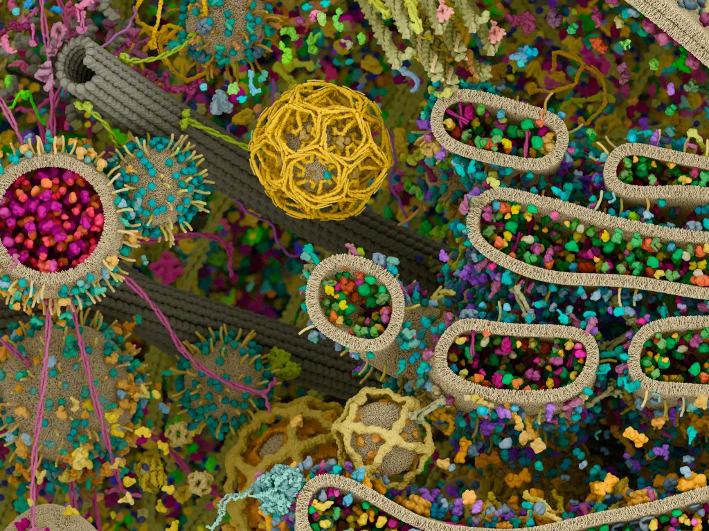 Les progrès scientifiques nous permettent de visualiser les composants moléculaires des cellules