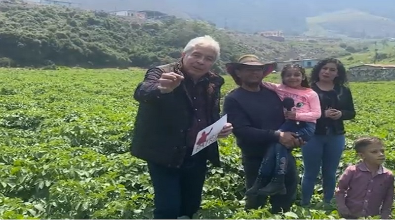 Pueblo Llano produit 79 000 tonnes de pommes de terre par an