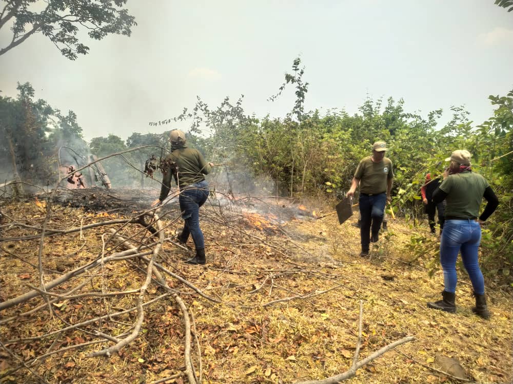 Un incendie de forêt a touché 463 hectares du Cerro Azul à Barinas