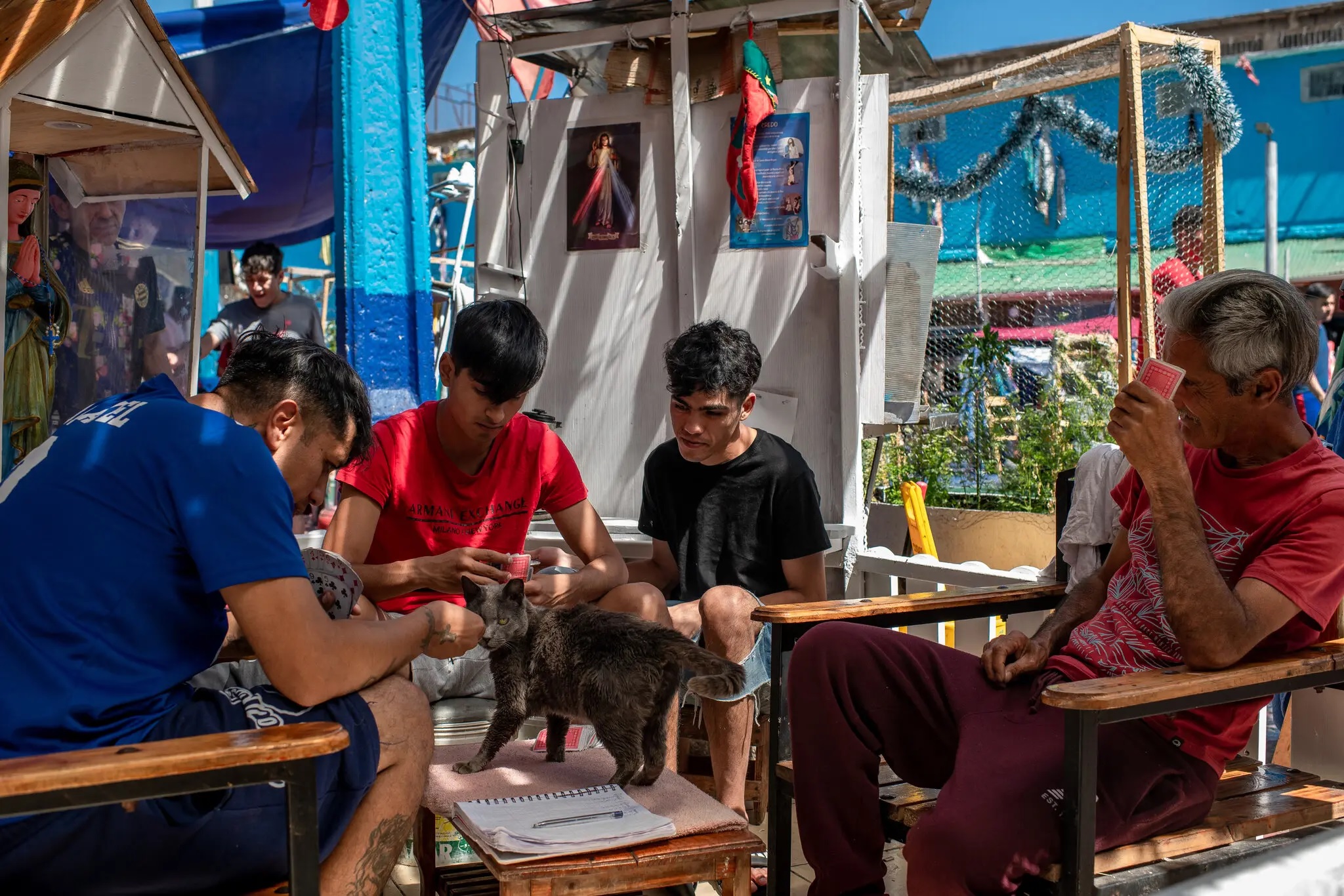 Des prisonniers chiliens reçoivent l'affection de 300 chats