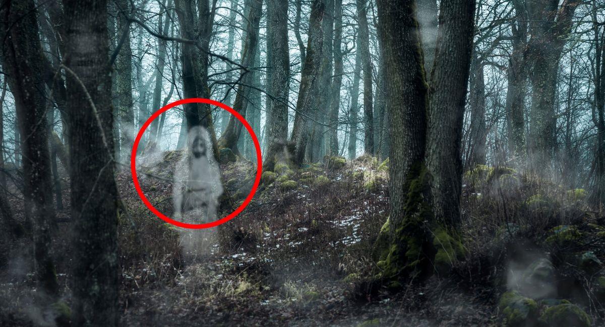 Conoce la leyenda de ‘La bruja de El Cortijo’, en Engativá. Foto: Shutterstock