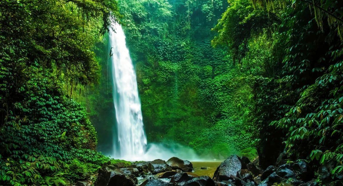 Foto: Shutterstock