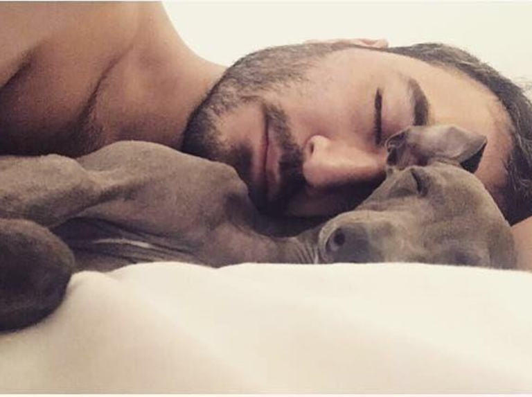 Jesús Navarro du trio Reik rend hommage à son chien bien-aimé Bowie