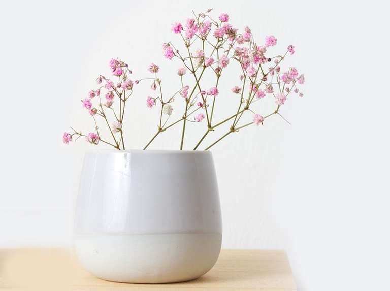 Les fleurs apportent la prospérité