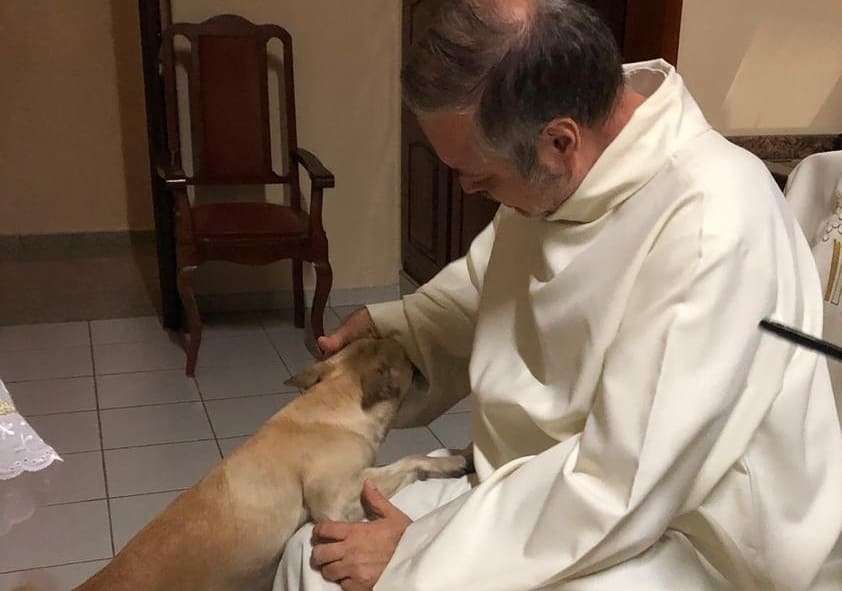 Un prêtre brésilien héberge des chiens des rues