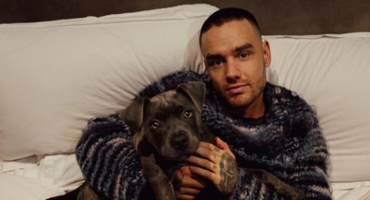 Se aplaza el lanzamiento del tema póstumo de Liam Payne. Foto: Instagram @liampayne