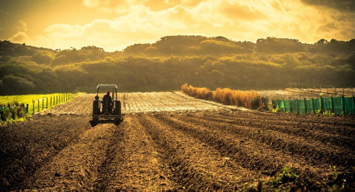 Colombia recibió reconocimiento por agricultura. Foto: Shutterstock