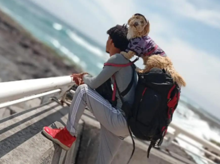 Spiker le chien travely