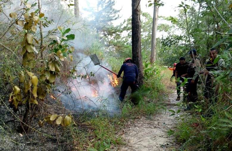 Des avions se sont écrasés dans la municipalité d'El Hatillo