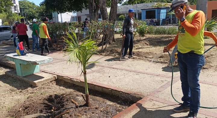 Ils récupérent les espaces publics dans SUCRE