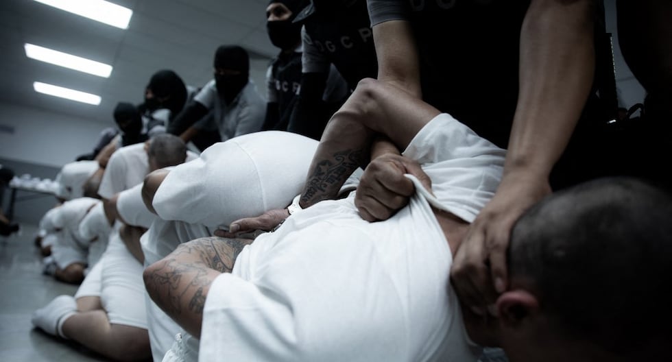 Le Venezuela dénoncera le «crime» par nous pour avoir expulsé les migrants à la prison salvadorienne