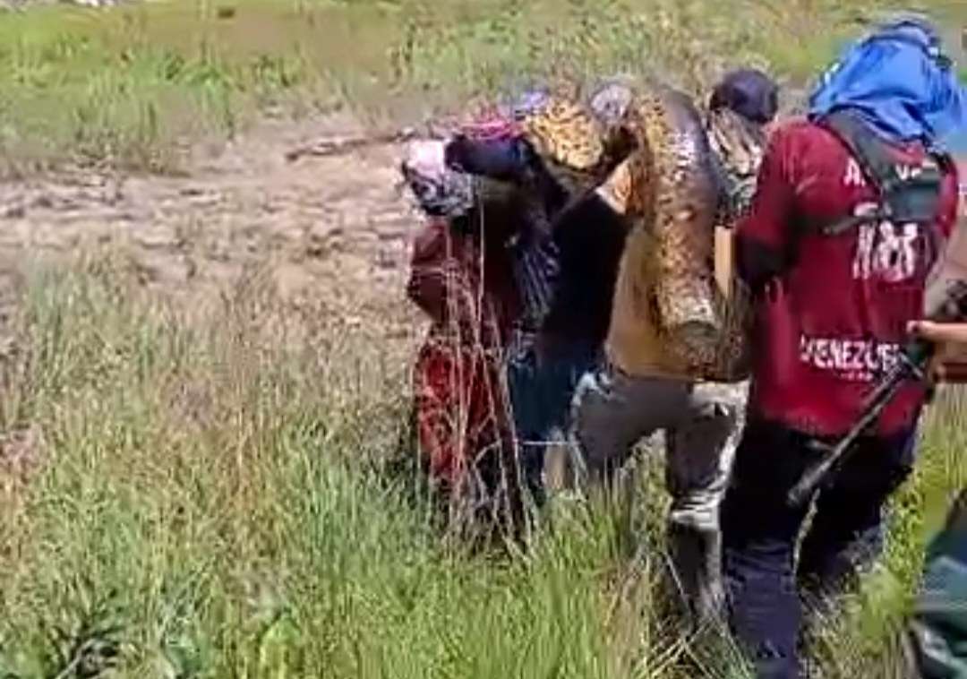 4 mètres dans le guri se trouvent dans le guri