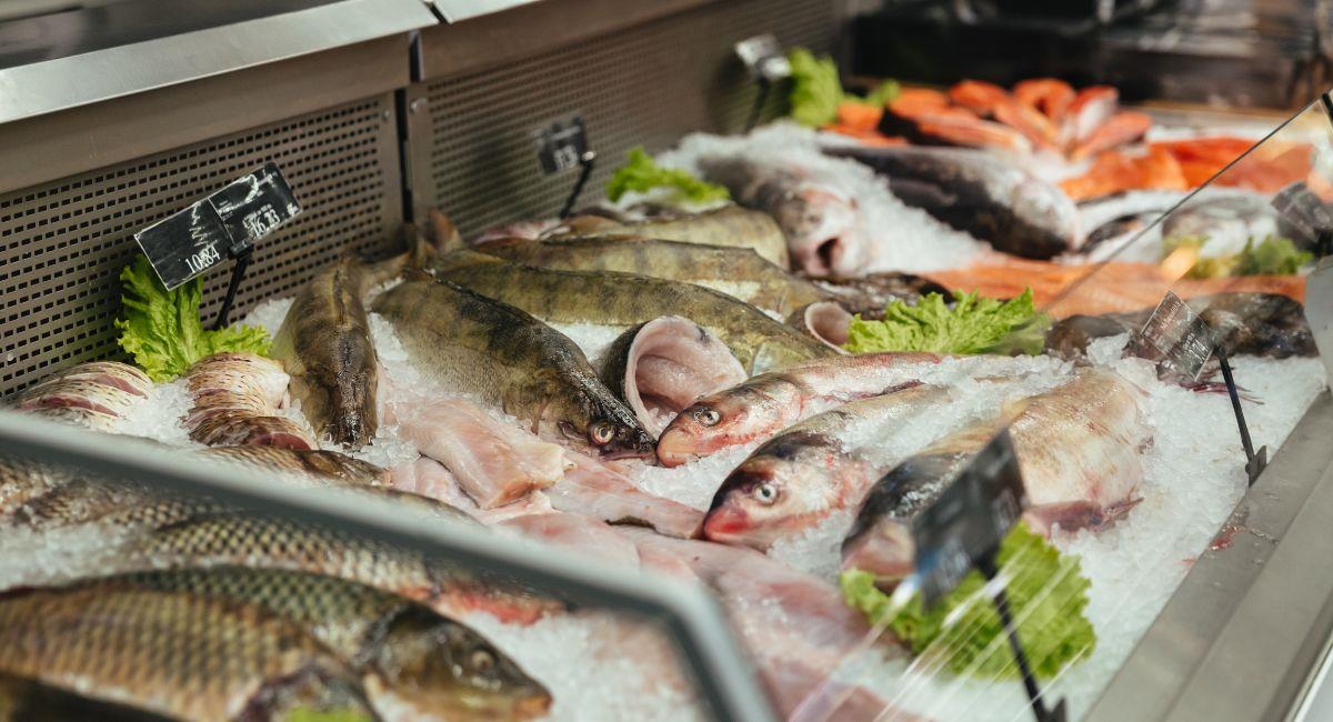 Precio del pescado en Corabastos, Bogotá. Foto: Freepik