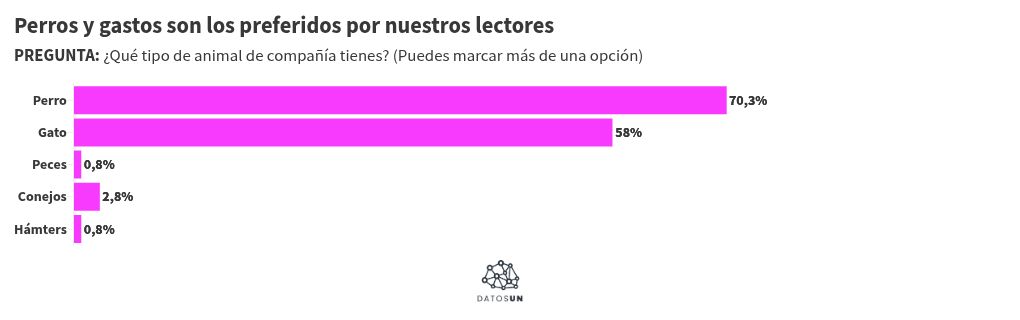 Visualisation du graphique