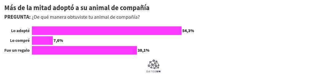 Visualisation du graphique