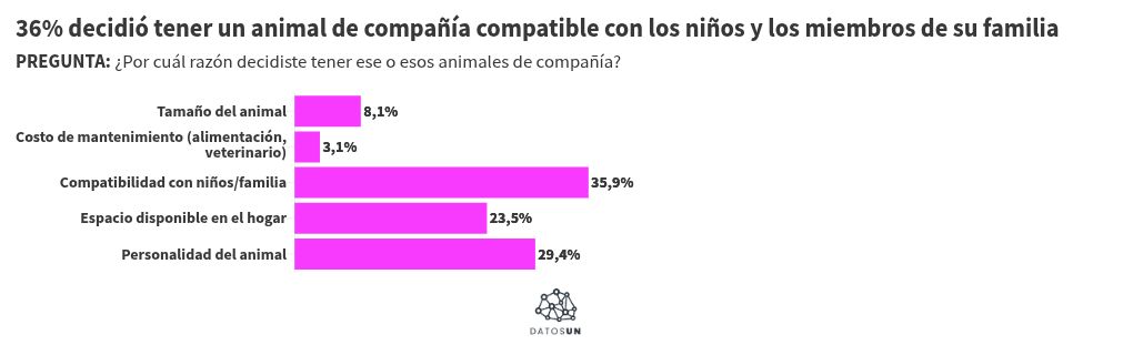 Visualisation du graphique