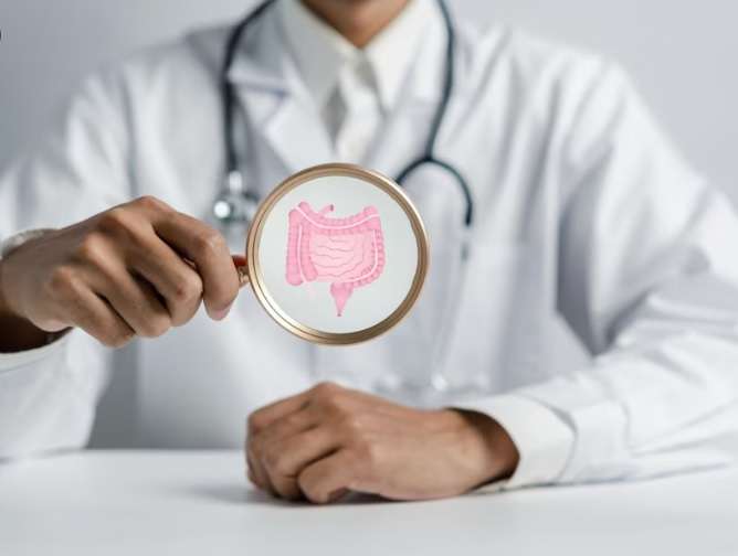 60% des défenses du système immunitaire sont dans l'intestin